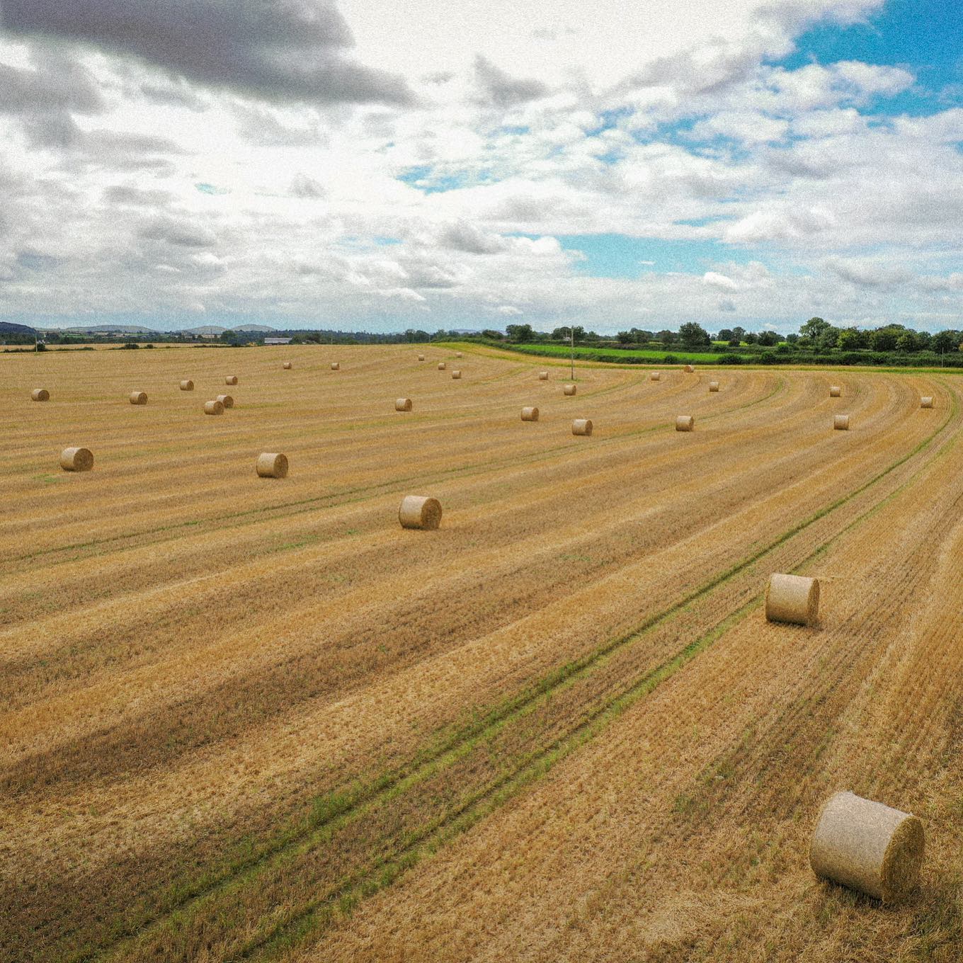 baled-hay