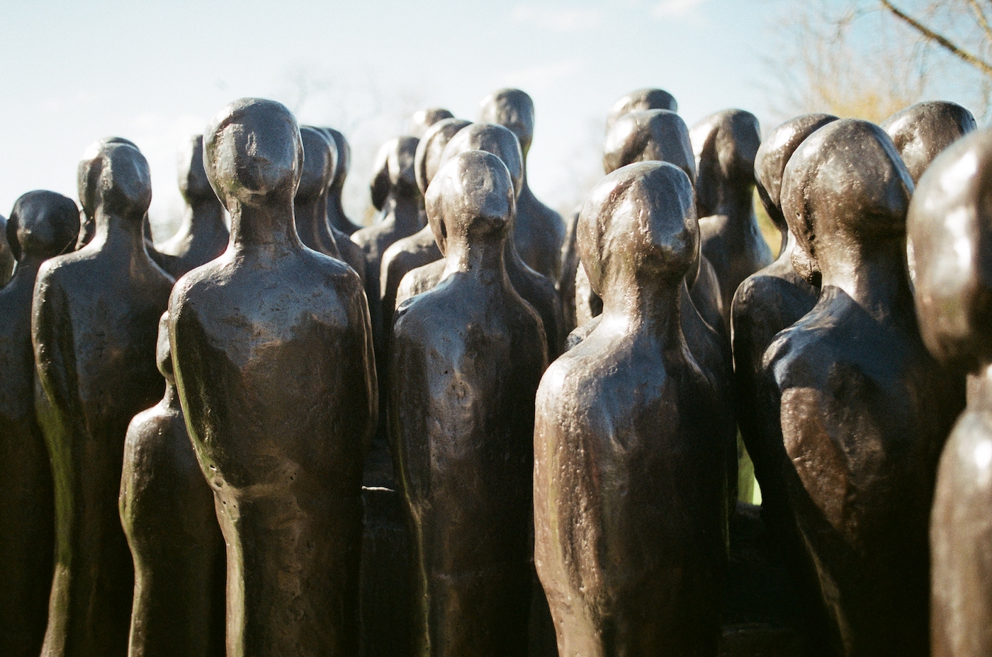 heads