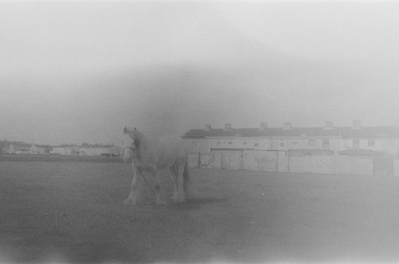 Soviet-era expired film