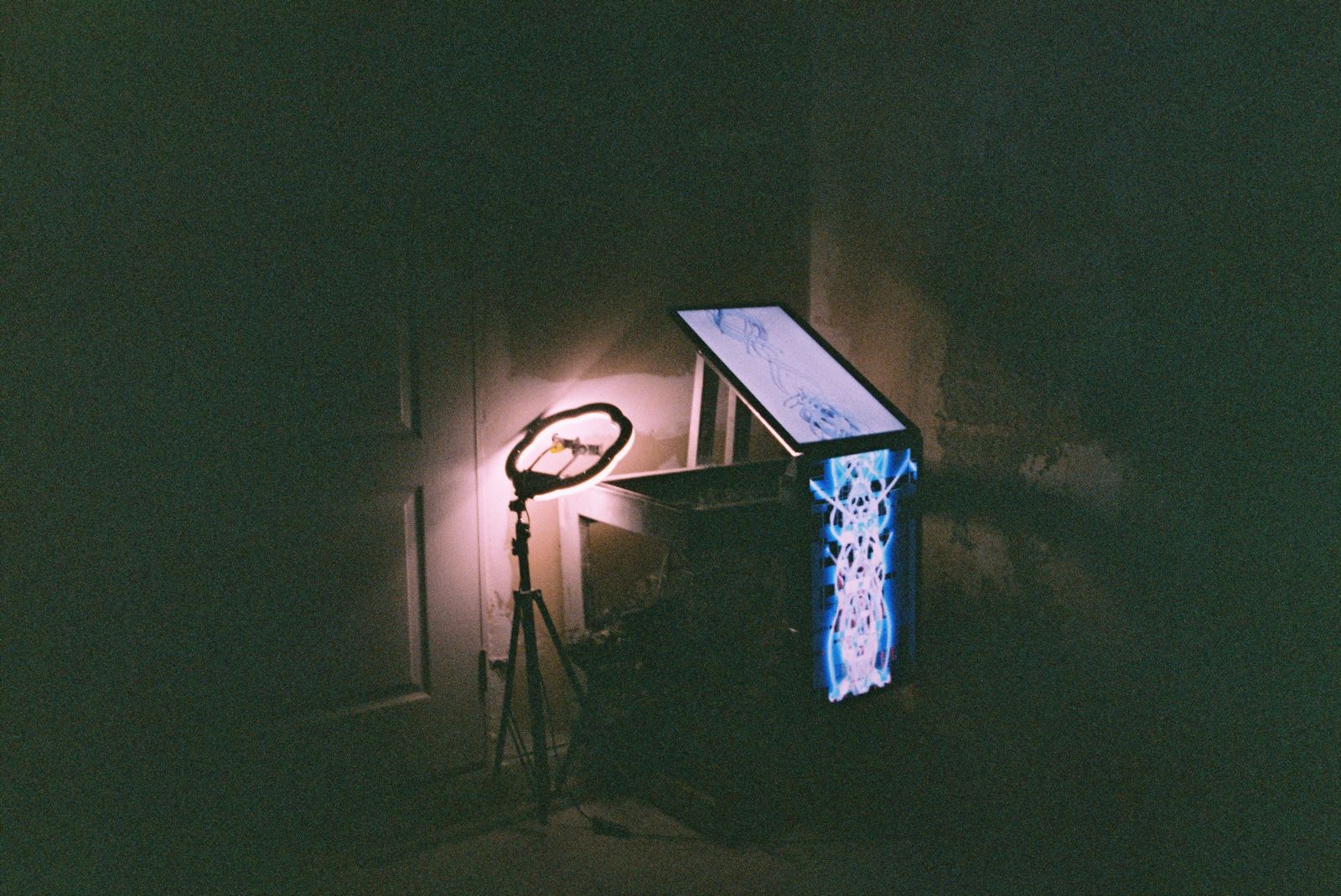 Transmission of Flesh by Erfan Ashourioun